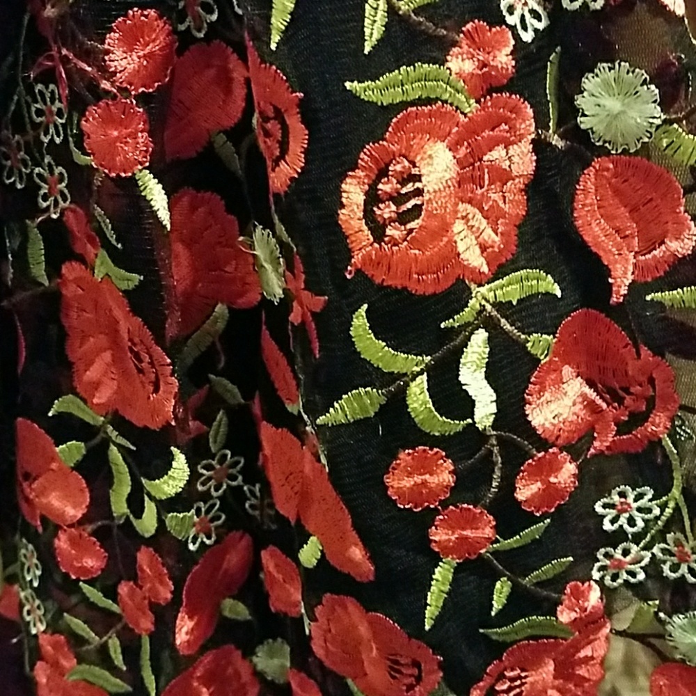 Akira deep V dress - Picture 2 of 2